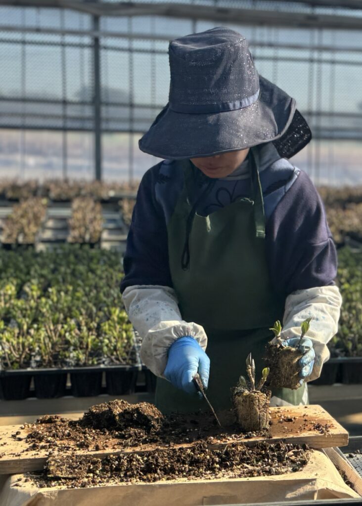 私たちの想いは、花を通じて皆様の暮らしを彩り、豊かな生活を提案する